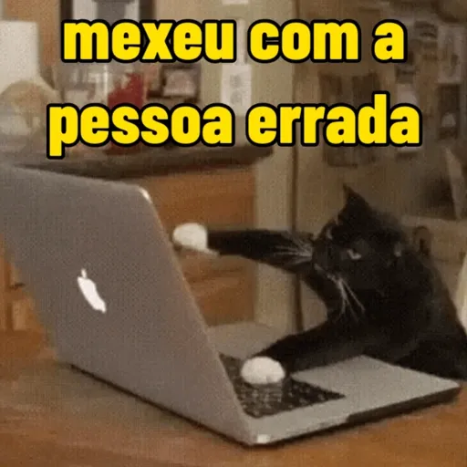 Figurinha: Gato hacker indignado