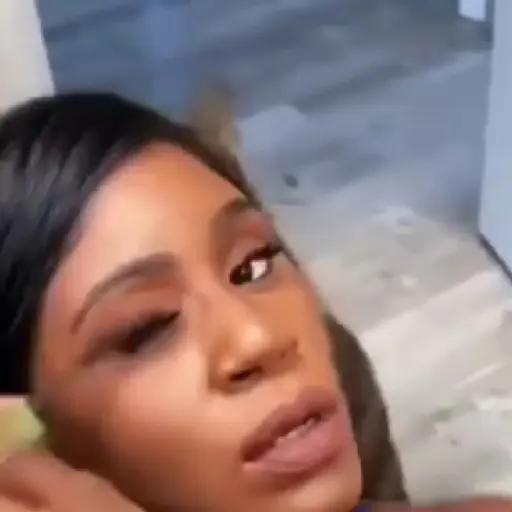 Figurinha: Gato irritado com mulher
