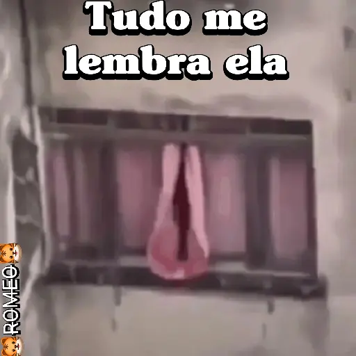 Figurinha: Tudo me lembra ela