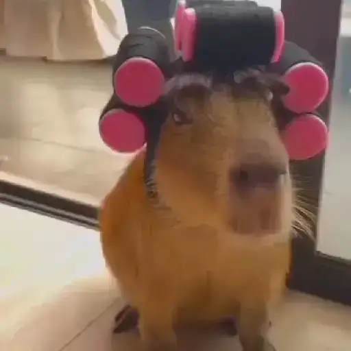 Figurinha: Capivara na crise dos 40