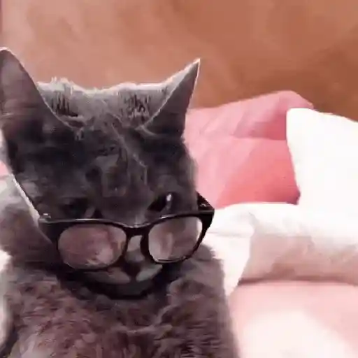 Figurinha: Gato de óculos piscando