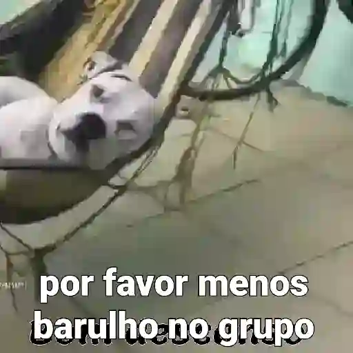 Figurinha: Cachorro pedindo menos barulho