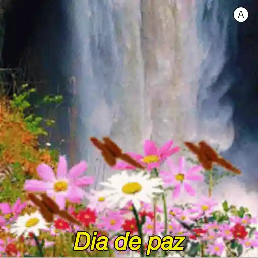Figurinha: Borboletas em Dia de Paz