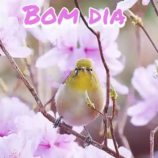 Figurinha: Pássaro com Bom Dia em Flores
