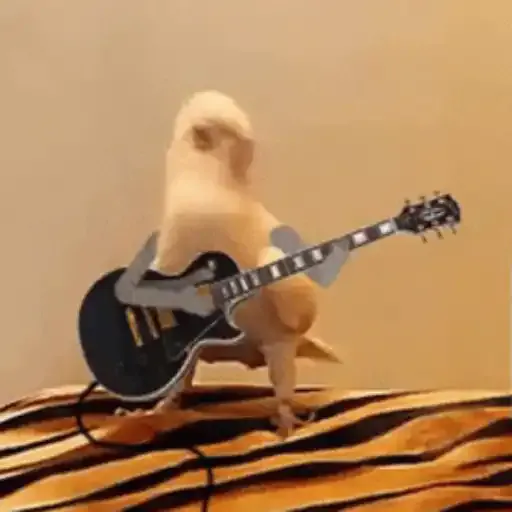 Figurinha: Pombo roqueiro