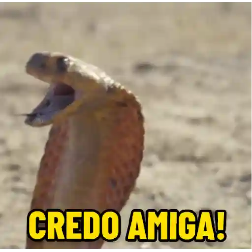 Figurinha: Credo Amiga Cobra