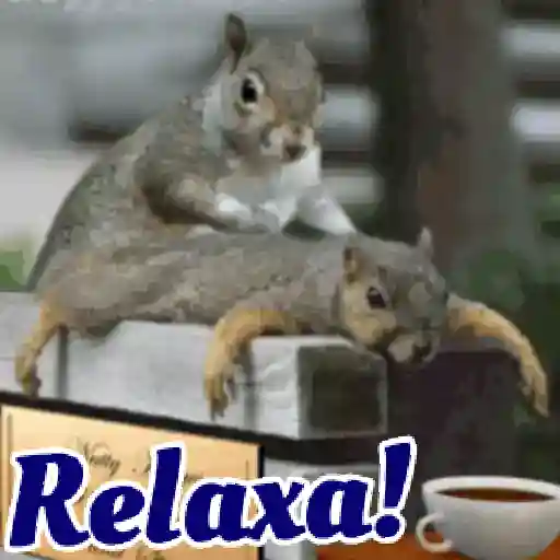 Figurinha: Esquilo Relaxa!