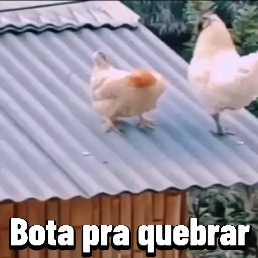 Figurinha: Galinha botando ovo no telhado
