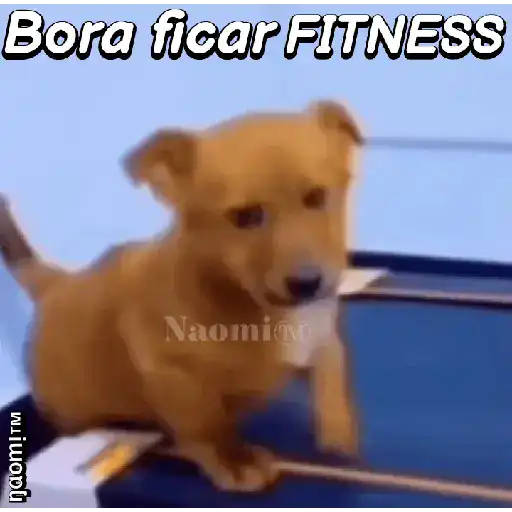Figurinha: Cachorro na esteira desanimado