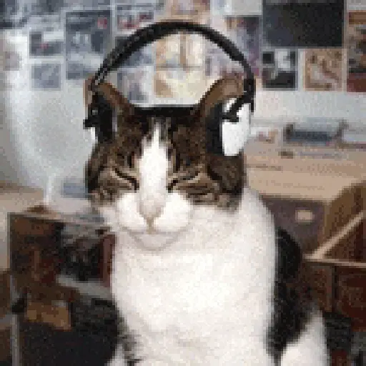 Figurinha: Gato DJ com Fones de Ouvido