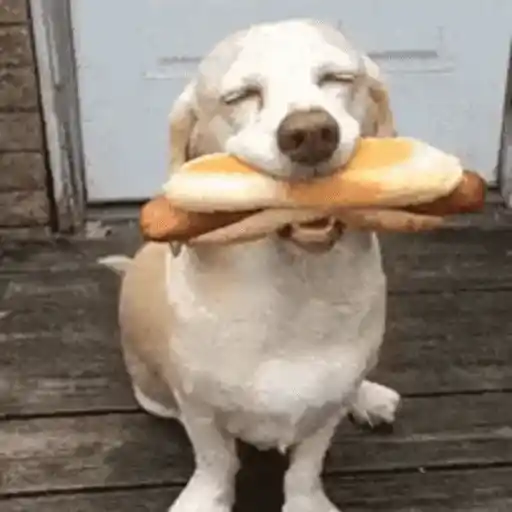 Figurinha: Cachorro com Hot Dog