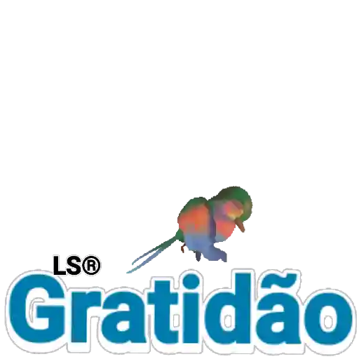 Figurinha: Pássaro voando e pousando