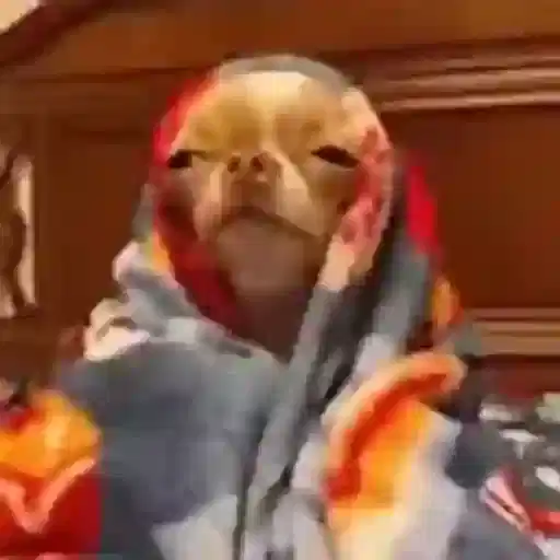 Figurinha: Cachorrinho com sono