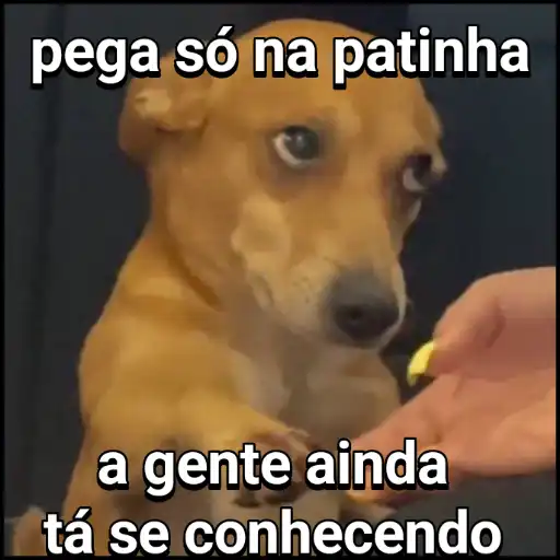 Figurinha: Cachorro estendendo a pata