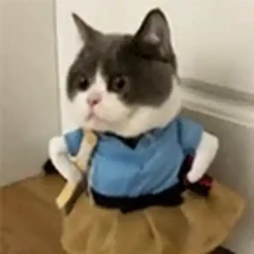 Figurinha: Gatinha Pronta Para Investigar