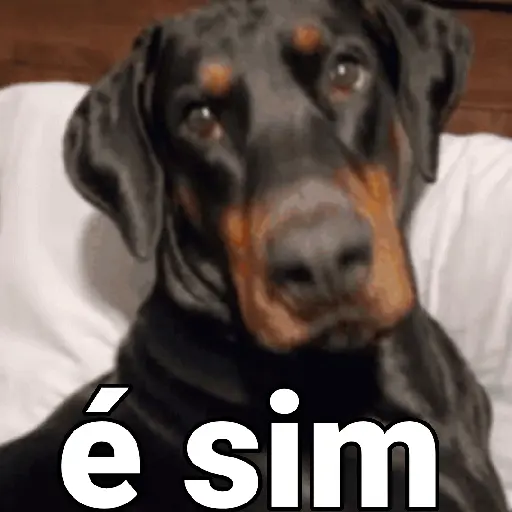 Figurinha: Cachorro Diz "É Sim"
