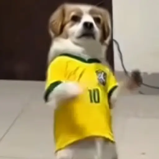 Figurinha: Cachorro com camisa do Brasil