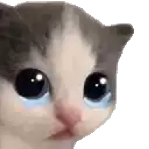 Figurinha: Gatinho Chorão