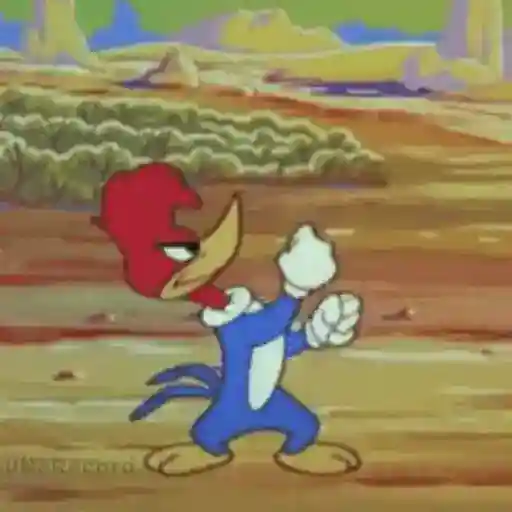 Figurinha: Pica Pau Lutando