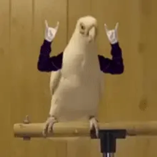 Figurinha: Pássaro Fazendo Rock n Roll