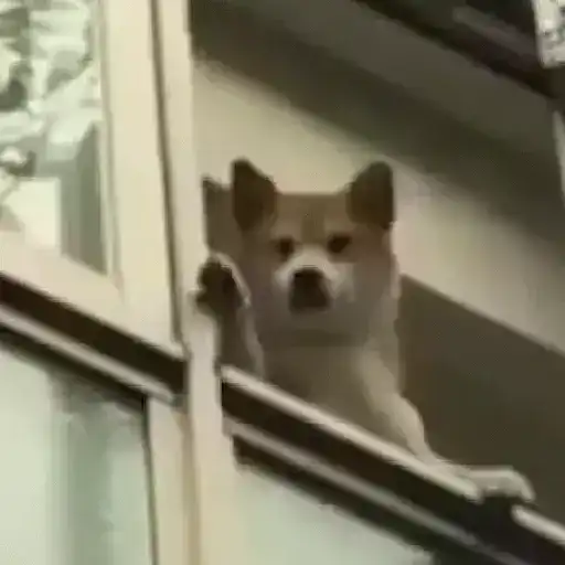 Figurinha: Cachorro abanando o rabo