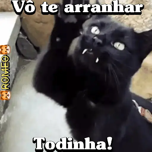 Figurinha: Gato preto ameaça arranhar