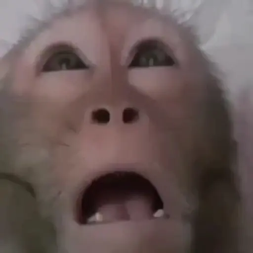 Figurinha: Macaco Assustado