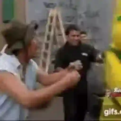 Figurinha: Pato é atacado por sacos