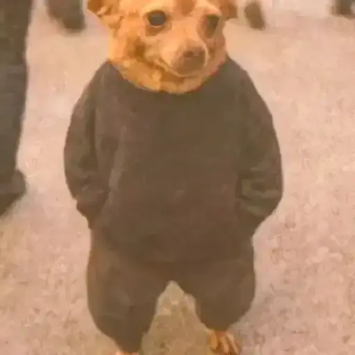 Figurinha: Cachorro em Moletom