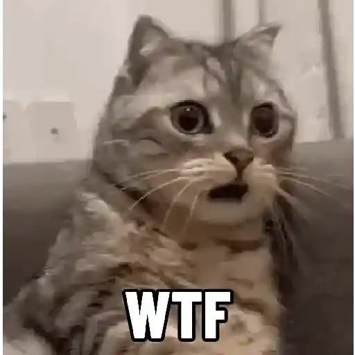 Figurinha: Gato Chocado WTF