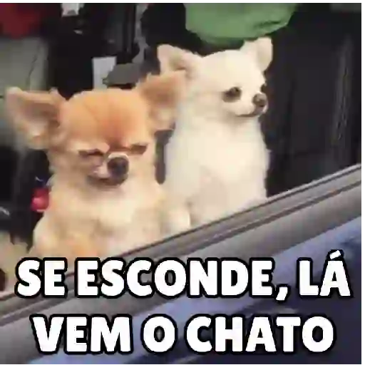Figurinha: Cachorros Se Escondendo do Chato