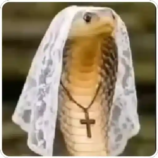 Figurinha: Cobra com véu e crucifixo