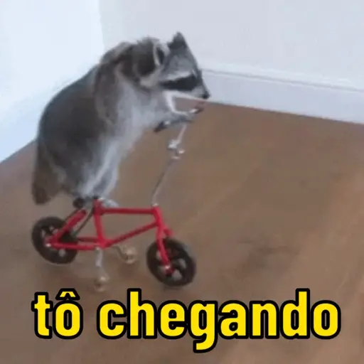 Figurinha: Guaxinim de bicicleta chegando