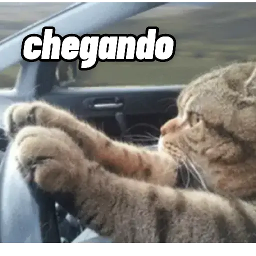 Figurinha: Gato dirigindo