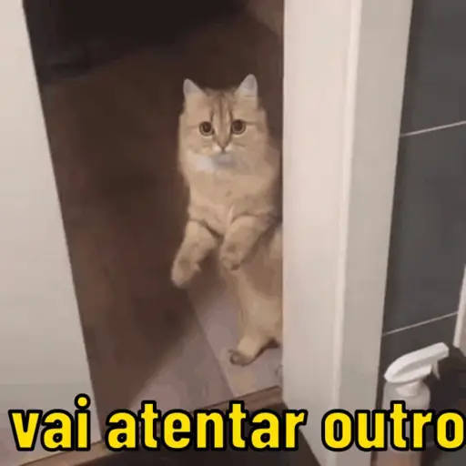 Figurinha: Gato pedindo para ir tentar outro