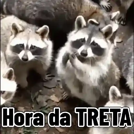 Figurinha: Guaxinim pronto pra treta
