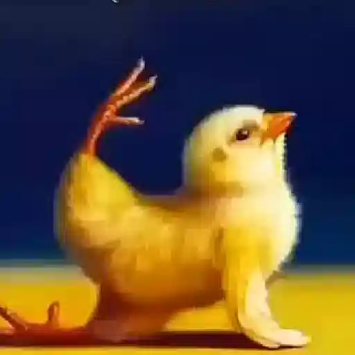 Figurinha: Pintinho fazendo yoga