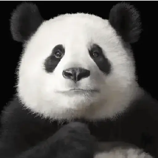 Figurinha: Panda estiloso