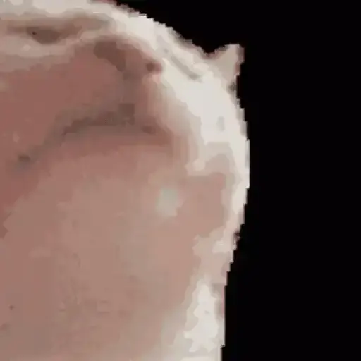 Figurinha: Gato Bolinha Dançando