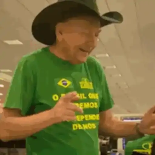 Figurinha: Veio da Havan dança animado