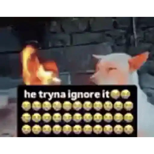 Figurinha: Cachorro ignorando o fogo