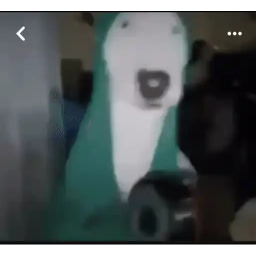 Figurinha: Walter Cão Meme