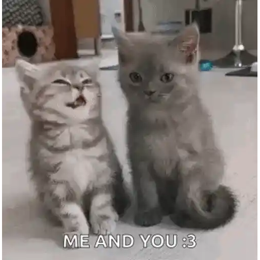 Figurinha: Me and you :3