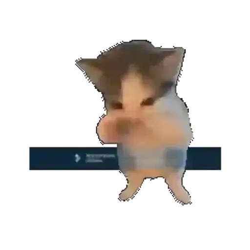 Figurinha: Gatinho Dançando