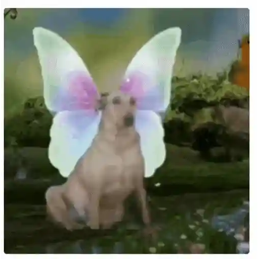 Figurinha: Cachorro Fada