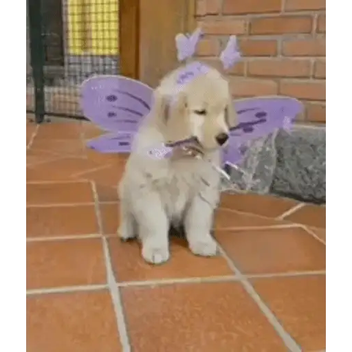 Figurinha: Cachorrinho Fada