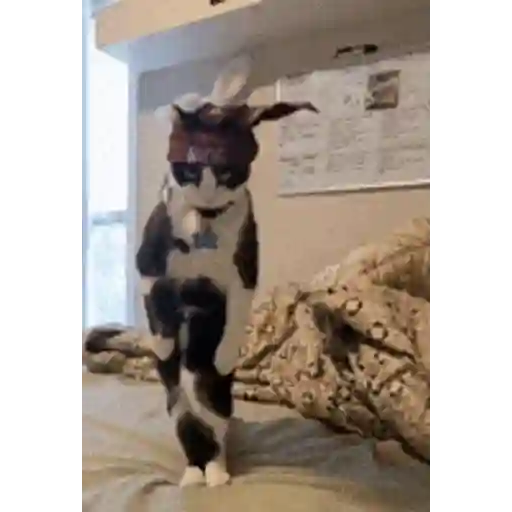 Figurinha: Gato Estiloso