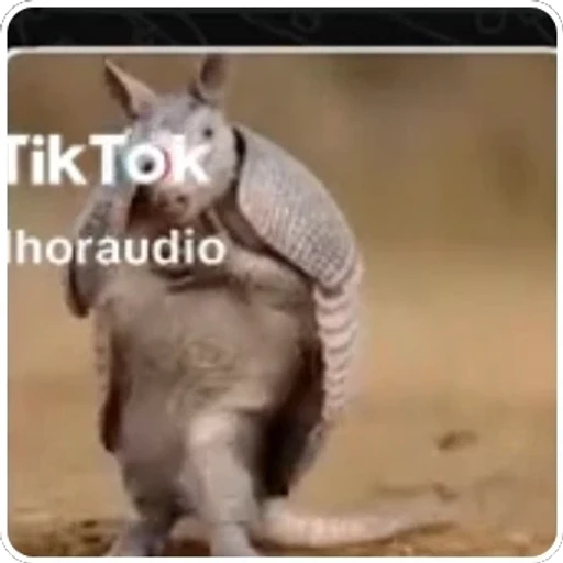Figurinha: Tatu Dramático