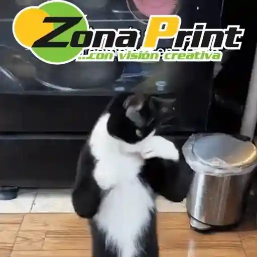 Figurinha: Gato Zona Print