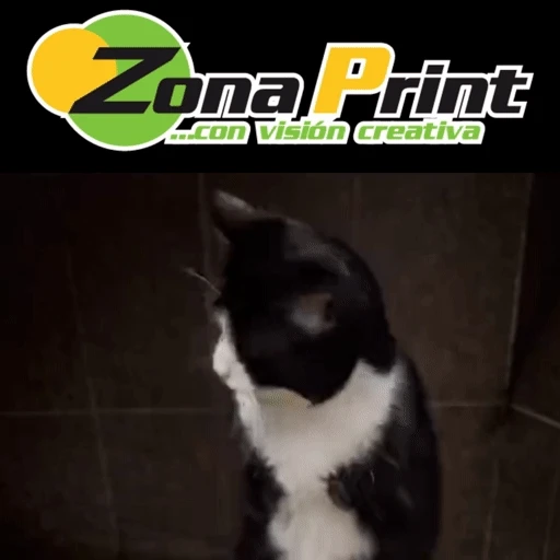 Figurinha: Gato de Zona Print